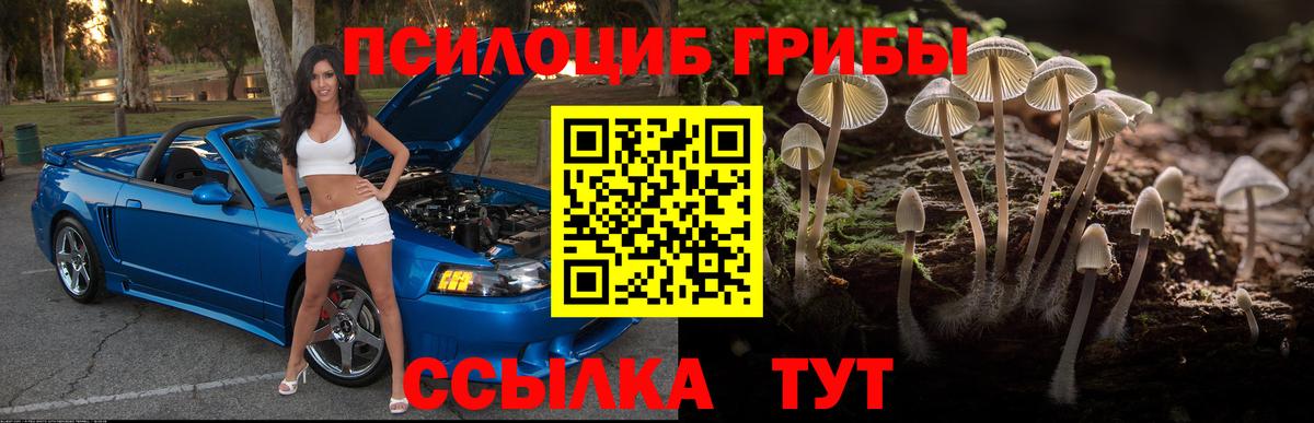 Галлюциногенные грибы прущие грибы  Вход с VPN  Подольск 